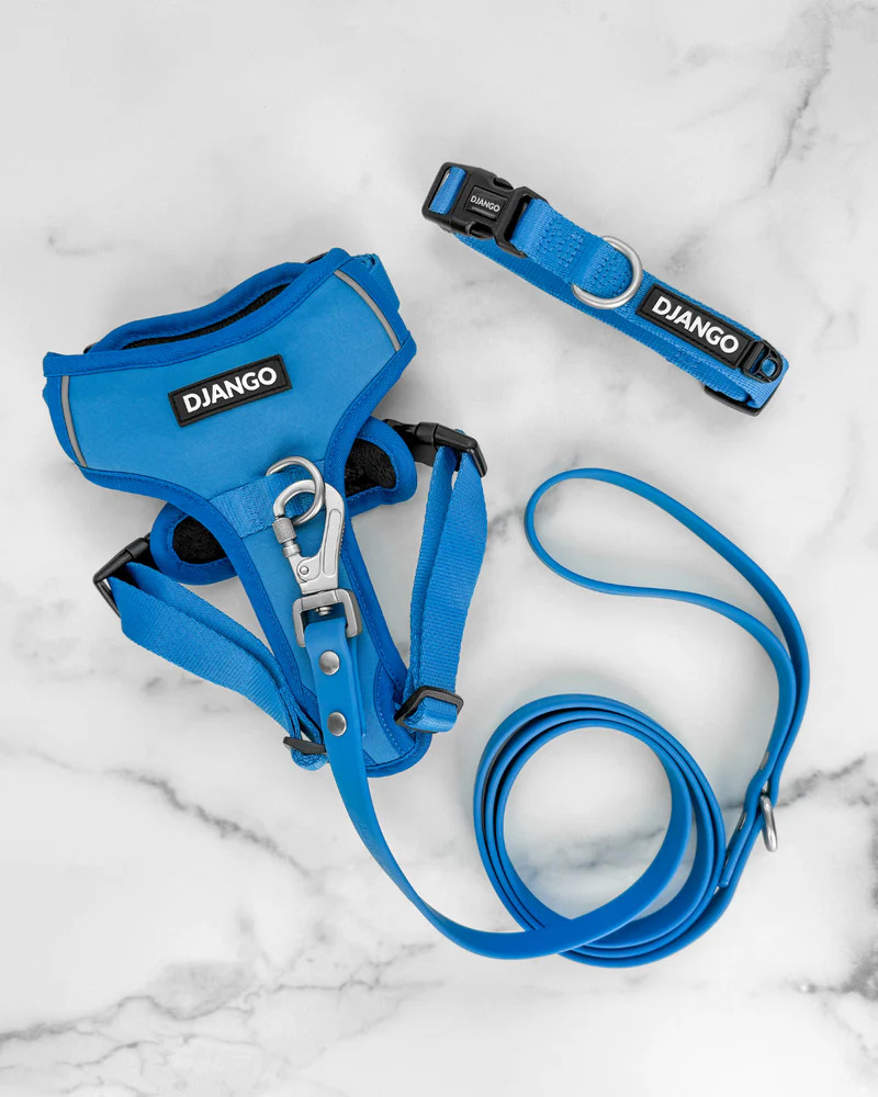 NWT Django Tahoe No Pull Dog Harness
