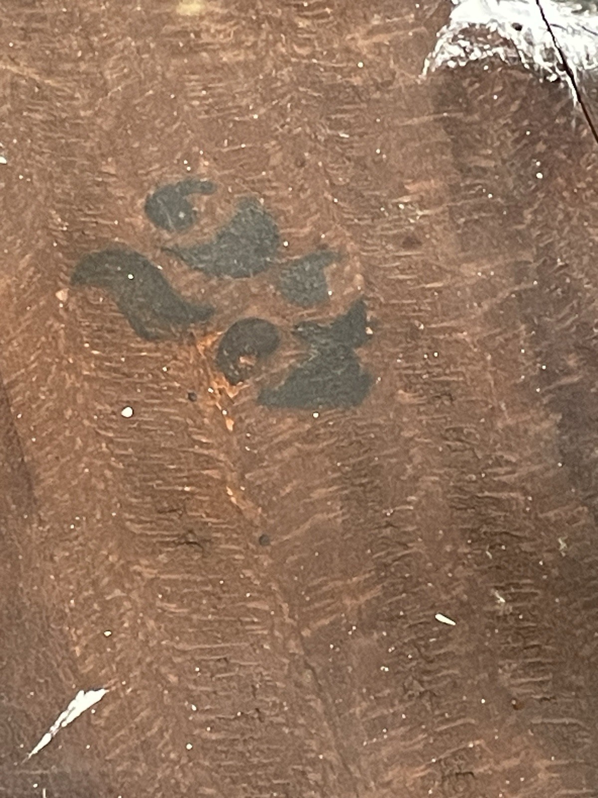 Antique Vintage Victorian Parlor Wooden Glass Ball And Claw Feet Side End Table