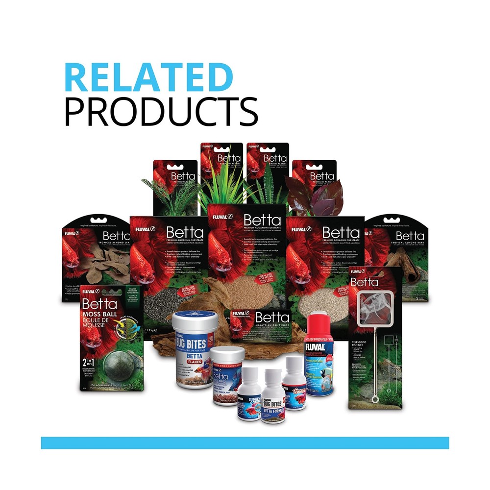 Fluval Betta Premium Aquarium Kit, 2.6 Gallon