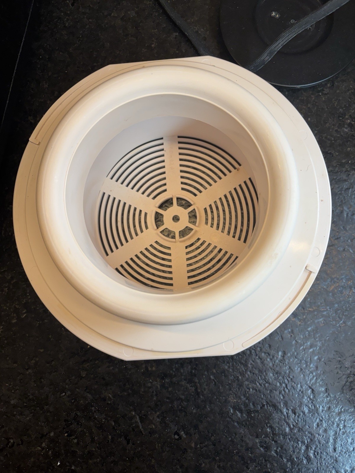 Dimension One Chairman II Hot Tub Spa Skimmer Basket Jacuzzi Beige - GUC!