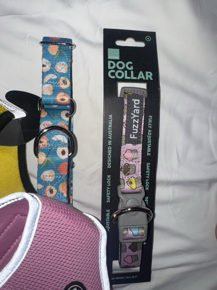 Harness, Collar & Bikini Lot