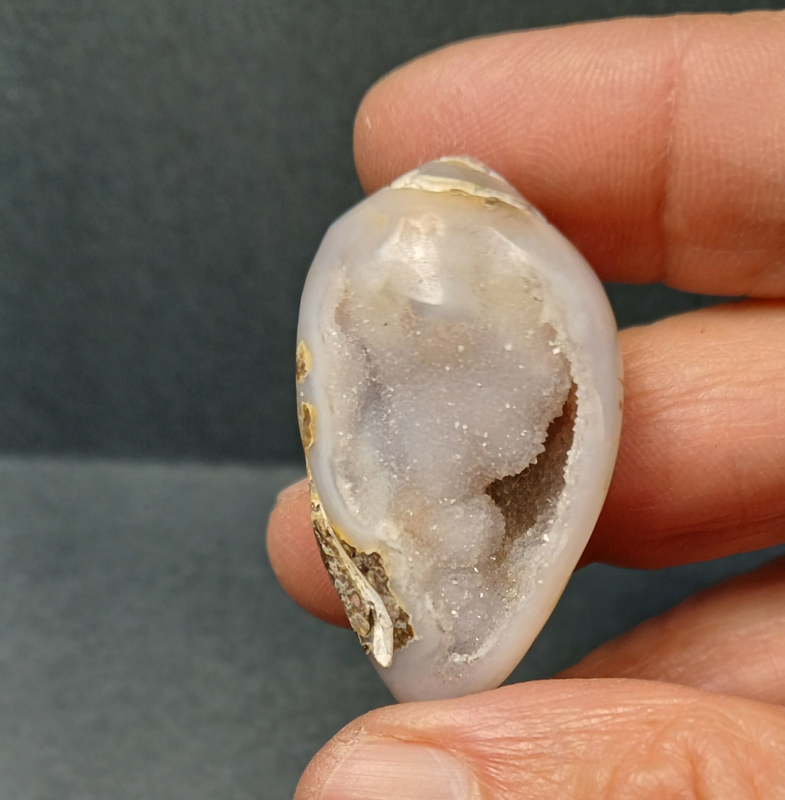 Fossil Shell Druzy - Complete Shell