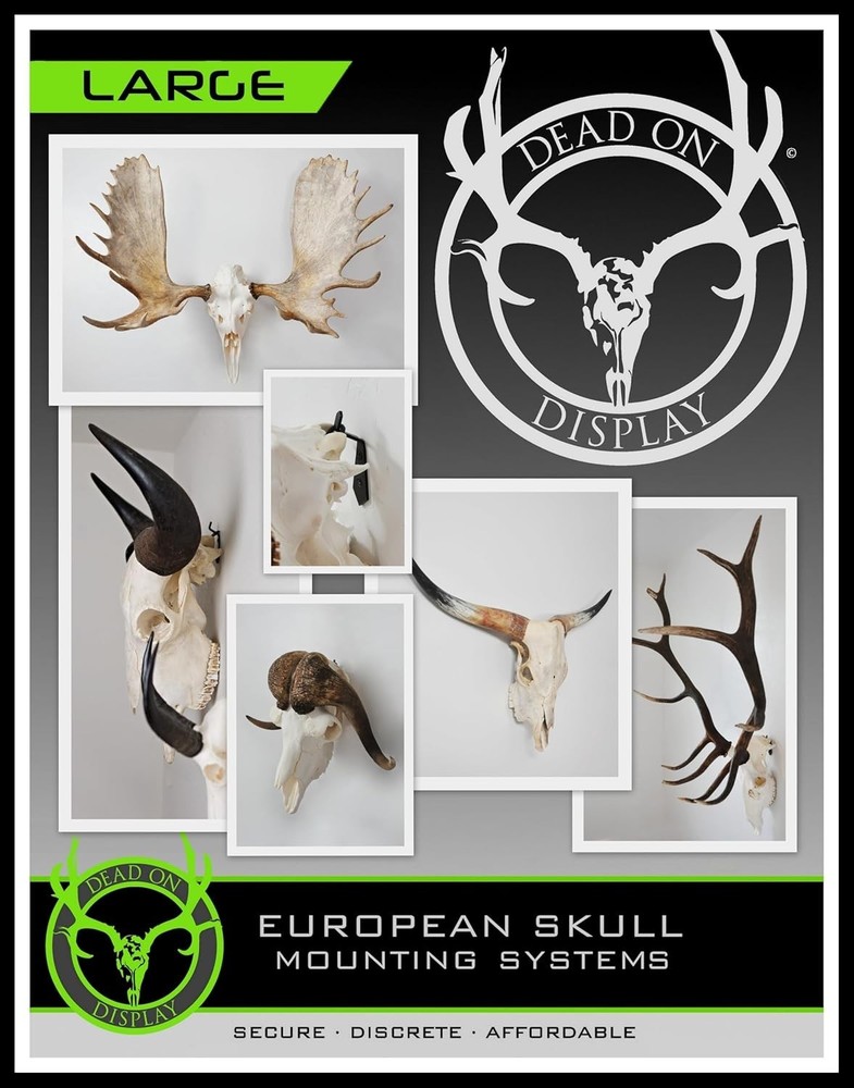 European Skull Mount Hanger - LARGE