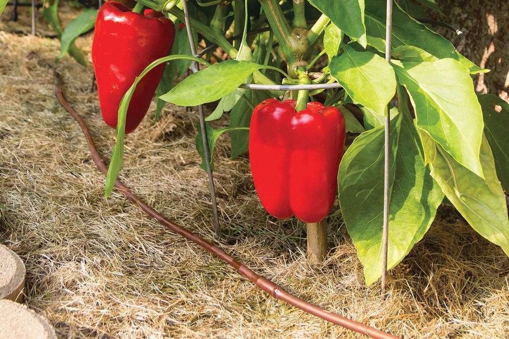Drip Irrigation Pressure Compensating 1/4