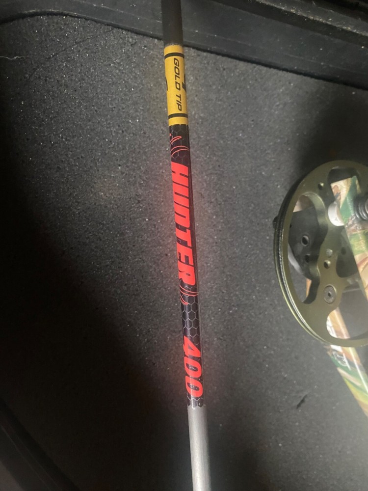 Bear Apprentice 2 Compound Bow