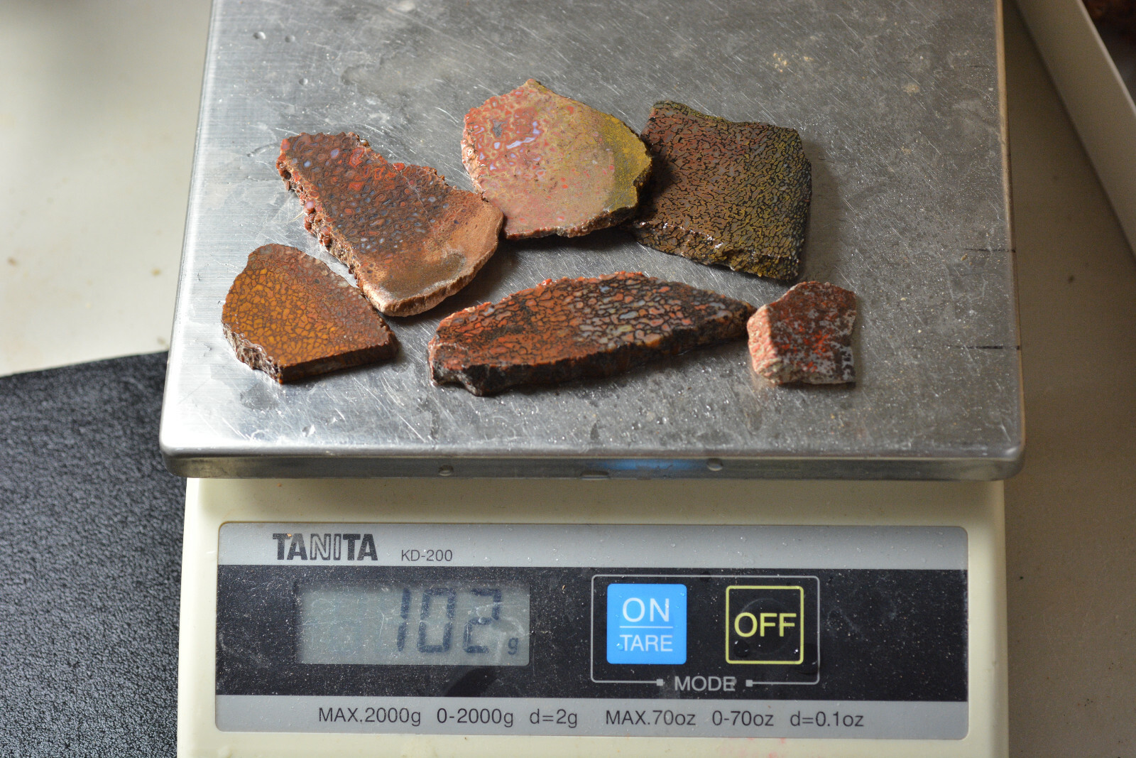 100 Grams of Agatized Dinosaur Bone Slabs