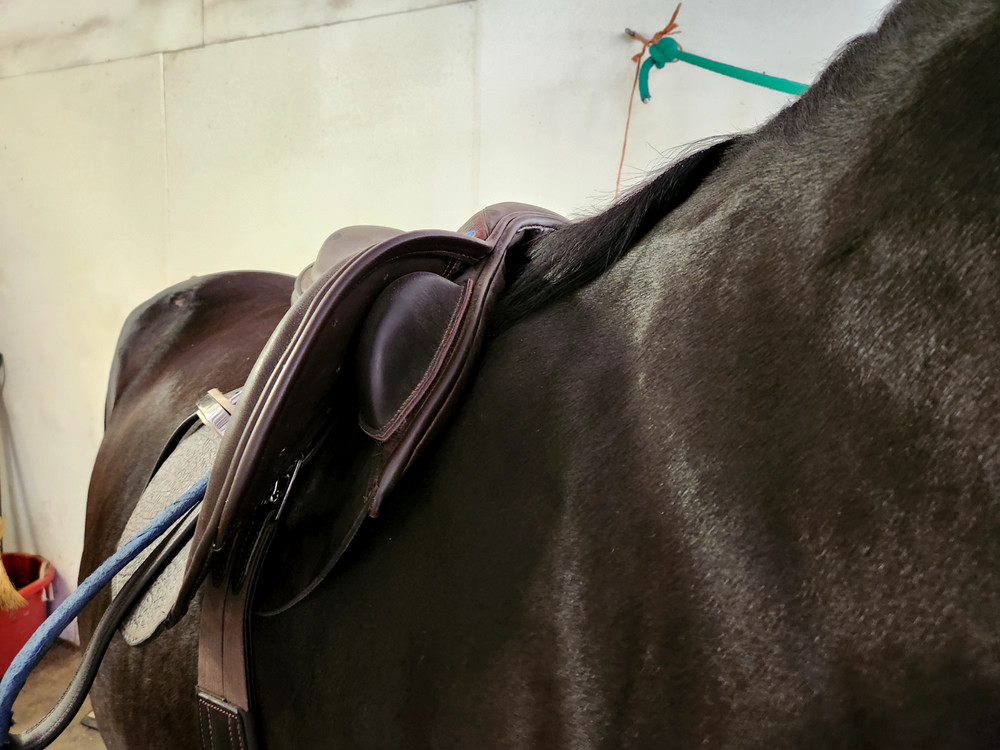 Custom County Innovation 18 M extra forward flap buffalo leather