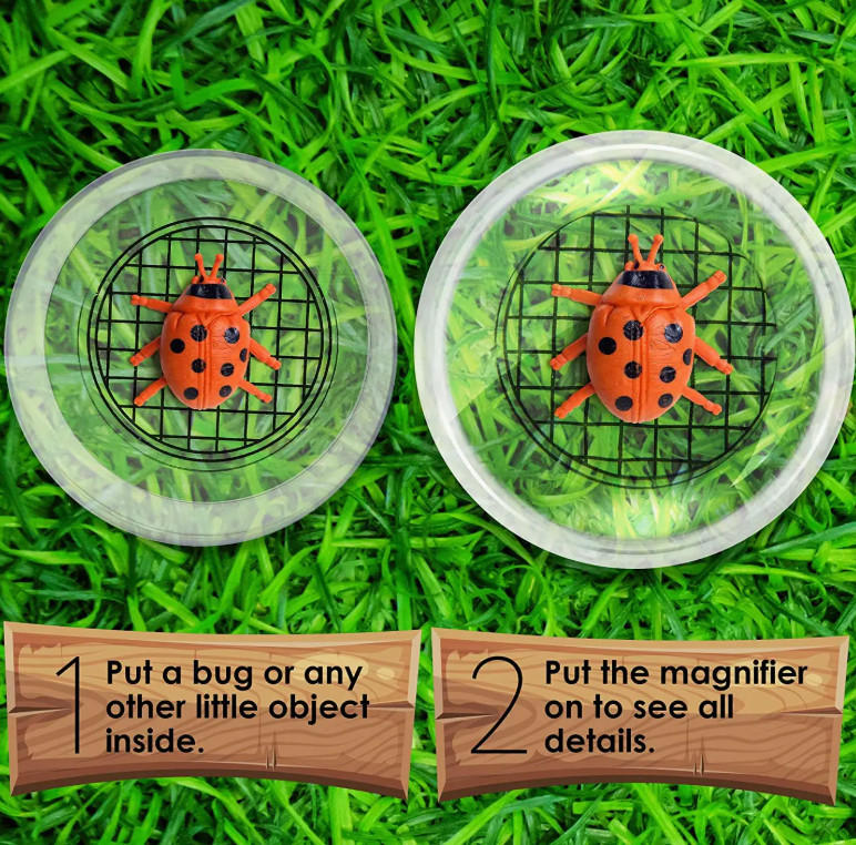 Bug Catcher for Kids