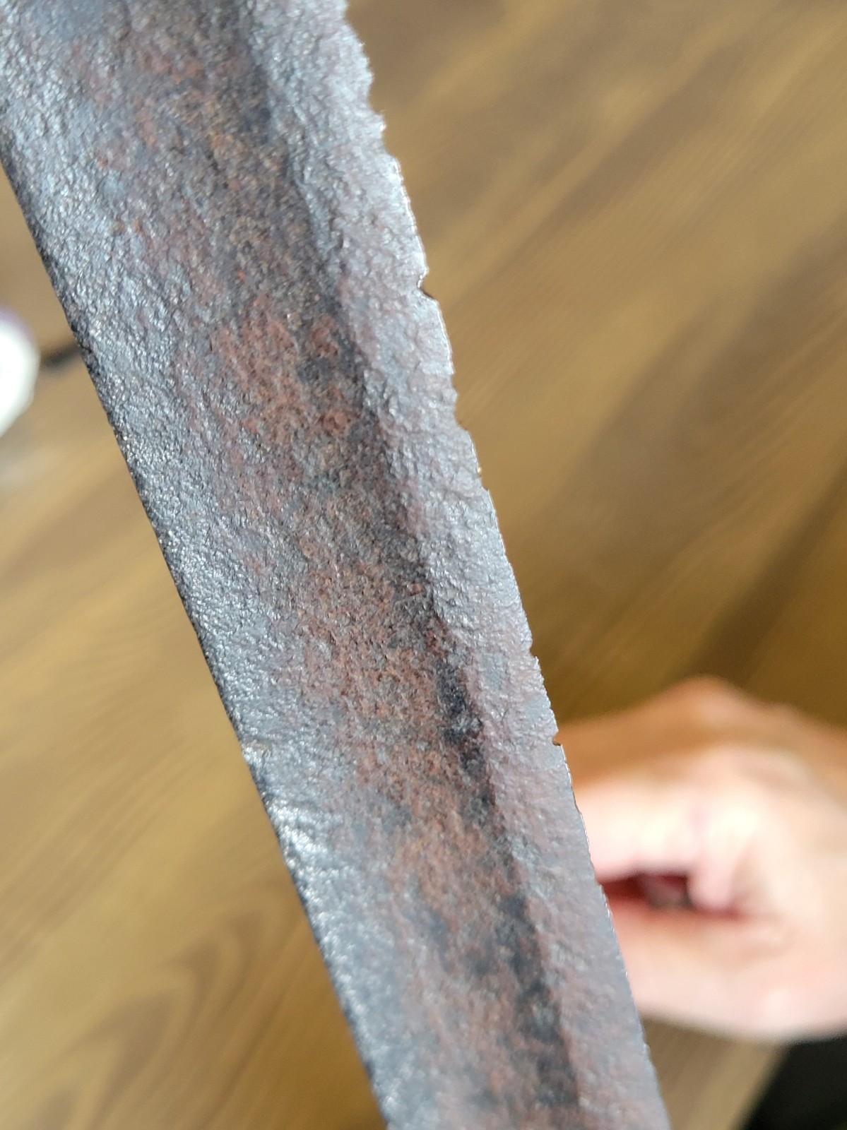 Napoleonic War-Civil War French Saber Cut-Down