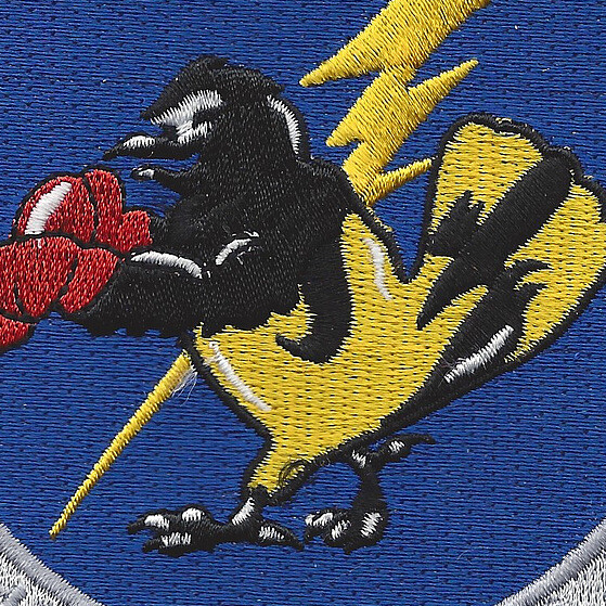 104th Fighter Squadron A-10 Patch