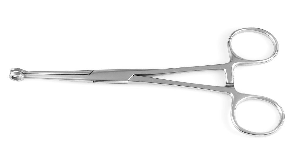 Ring Forceps 6.5 inch Multi Purpose steel piercing tool