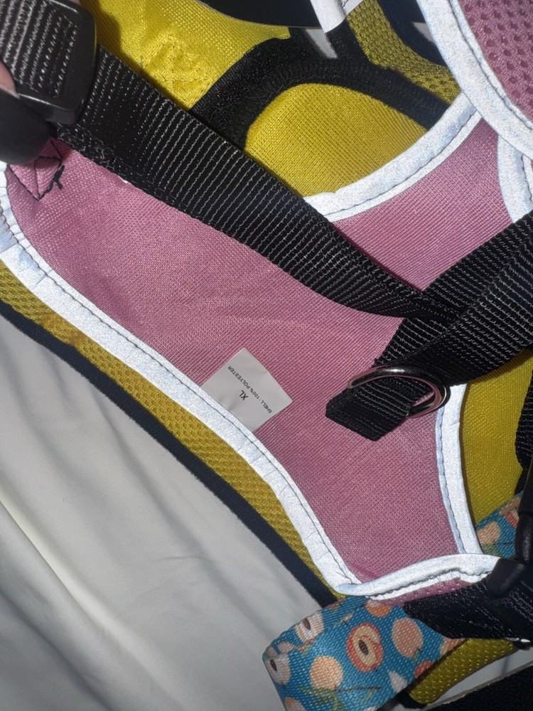 Harness, Collar & Bikini Lot