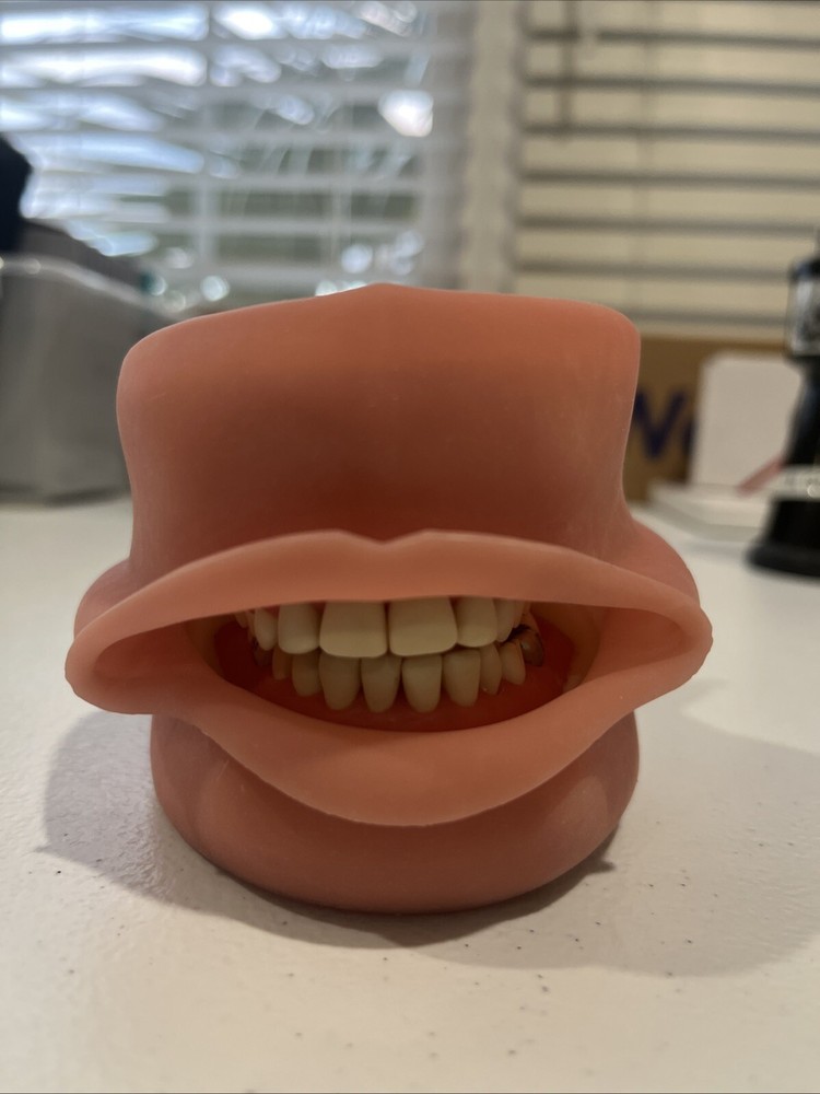 Columbia Pedodontic Dentoform 24 Removable Teeth