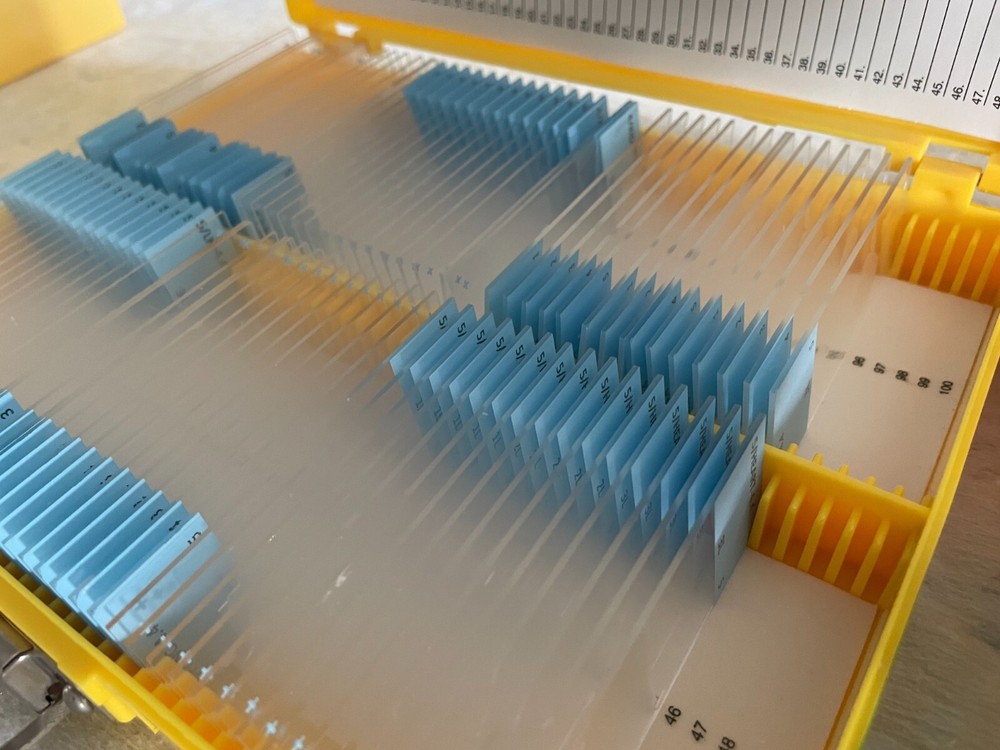 Two Microscope storage boxes with mouse tissues slides