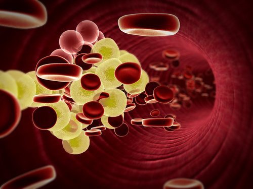 Immune support - CHOLESTEROL RELIEF FORMULA - cholesterol garlic - 2B