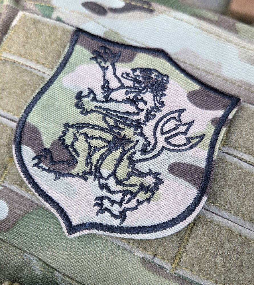 Multicam NSWDG Gold Squadron Crusader Shield Patch DEVGRU SEAL Team 6 ST6