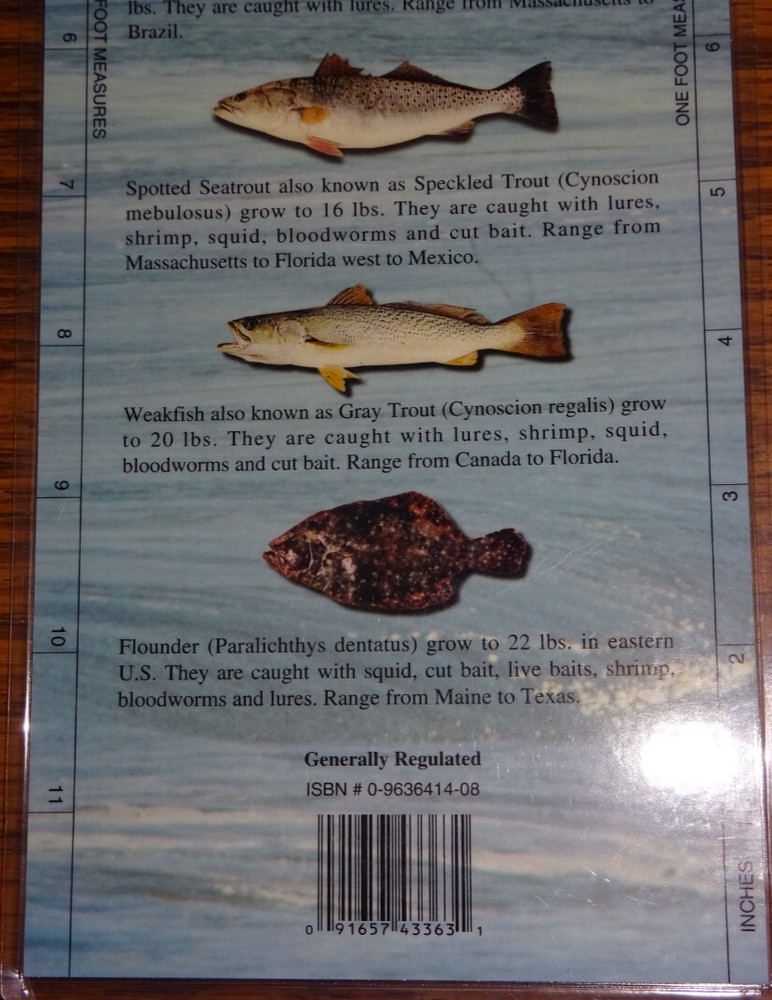 Atlantic Surf - Fish Guide, Species Quick Ref Guide, 12"x5", 2-Sided, Waterproof