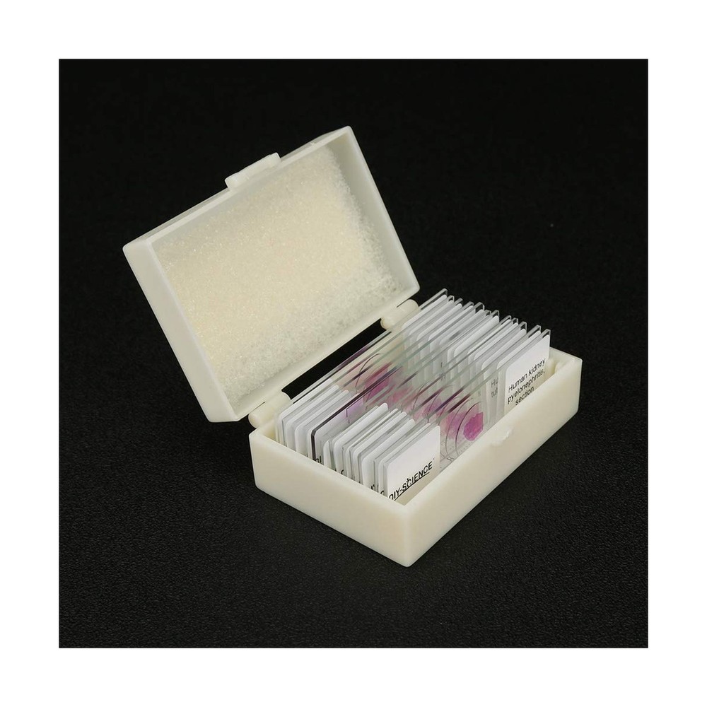 Prepared Human Pathology Microscope Slide Set, 12pcs Research-Quality Prepare...