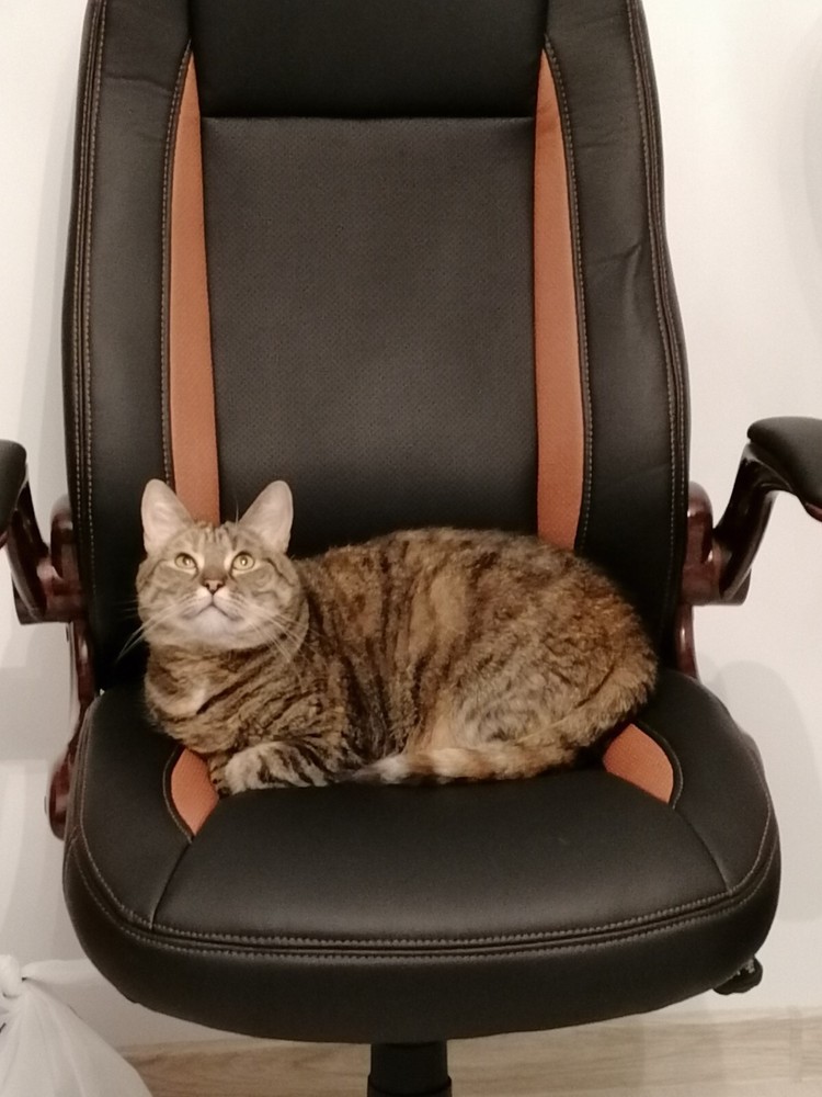 Metal stick pins. European Advertising Metal Stick Pins. Original, vintage, rare