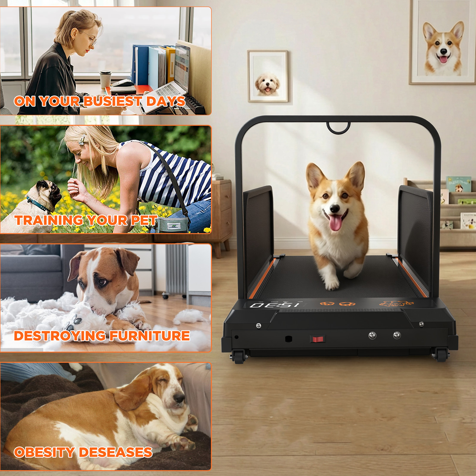 2 in 1 Dog Treadmill for Small Medium Dogs Pet Running Machine w/ Remote Incline
