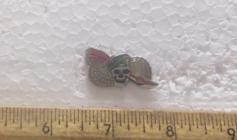 Special Forces Wings / Knife Pin