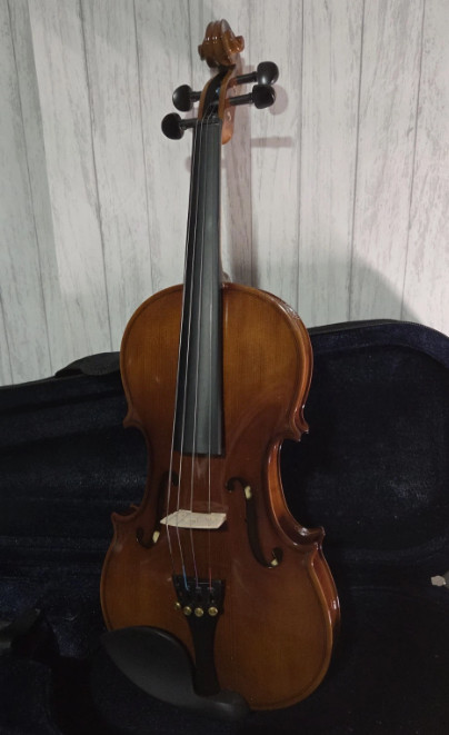 Pyle Solid Wood Violin Stringed Instrument-Student Grade Violin w/ Accessory Kit