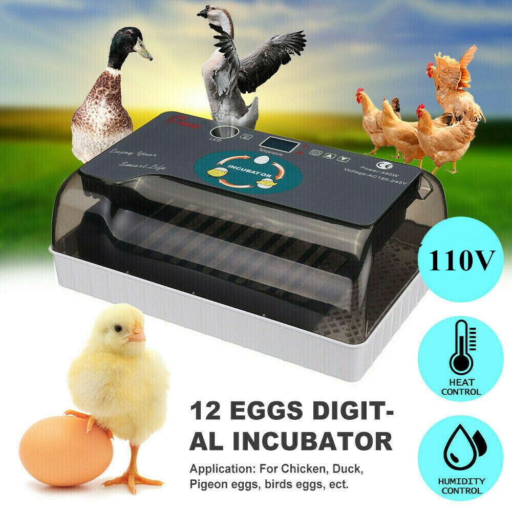 Automatic Egg Incubator for Hatching Eggs 12 Eggs Incubator Automatic Egg Turn
