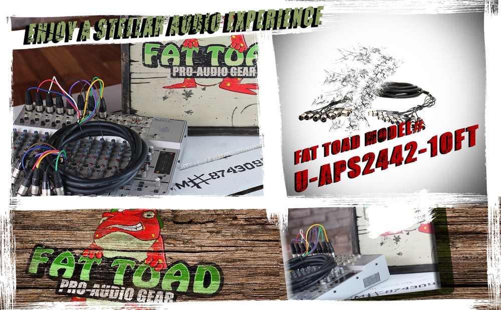 XLR Snake Cable Patch (10ft X 8 Channels) by FAT TOAD | Studio Stage, Live Sound