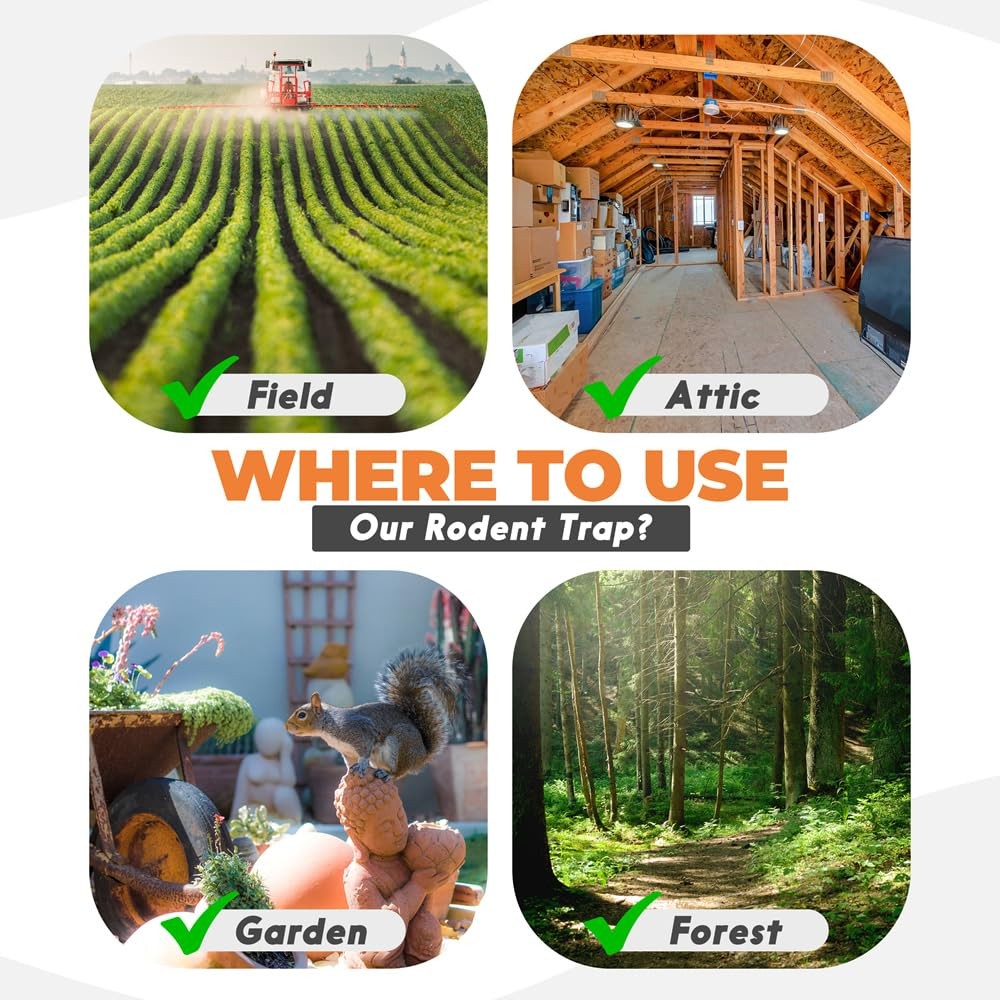 Squirrel Trap (2 Pack) - Consistent & Humane Kill Every Time with no Failures...