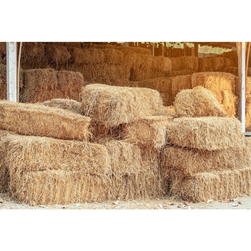 Straw Bale Full Size NEW