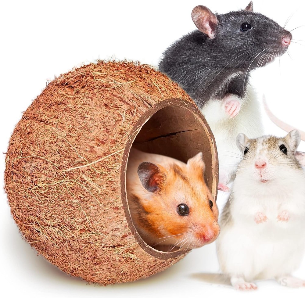 SunGrow Coconut Shell House for Gecko, Snake & Ball Python, Raw Coco Brown