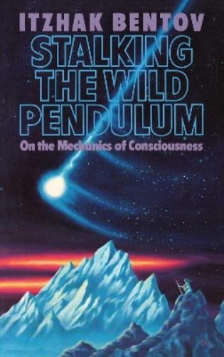 Itzhak Bentov Stalking the Wild Pendulum (Paperback)