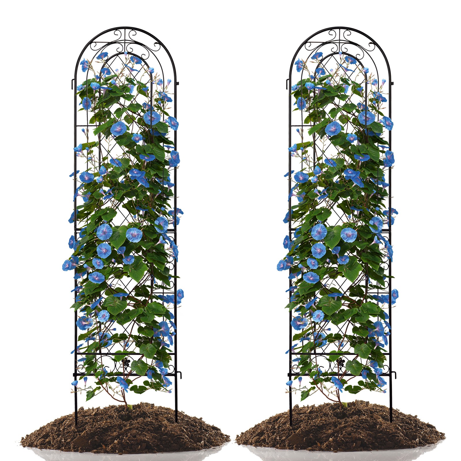 2 Pack 61" x 16" Garden Trellis for Climbing Plants, Outdoor Metal Rustproof