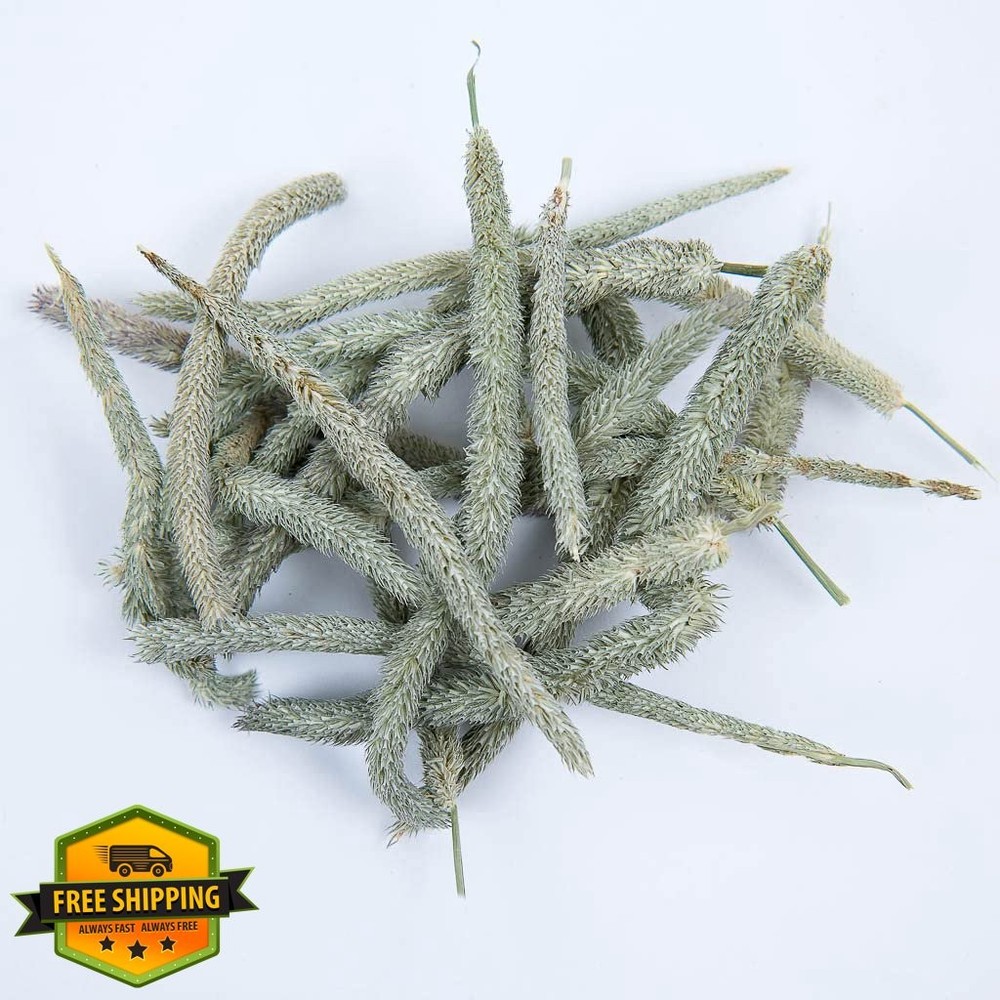 Small Pet Select Timothy Hay Flower Tips 10 Grams