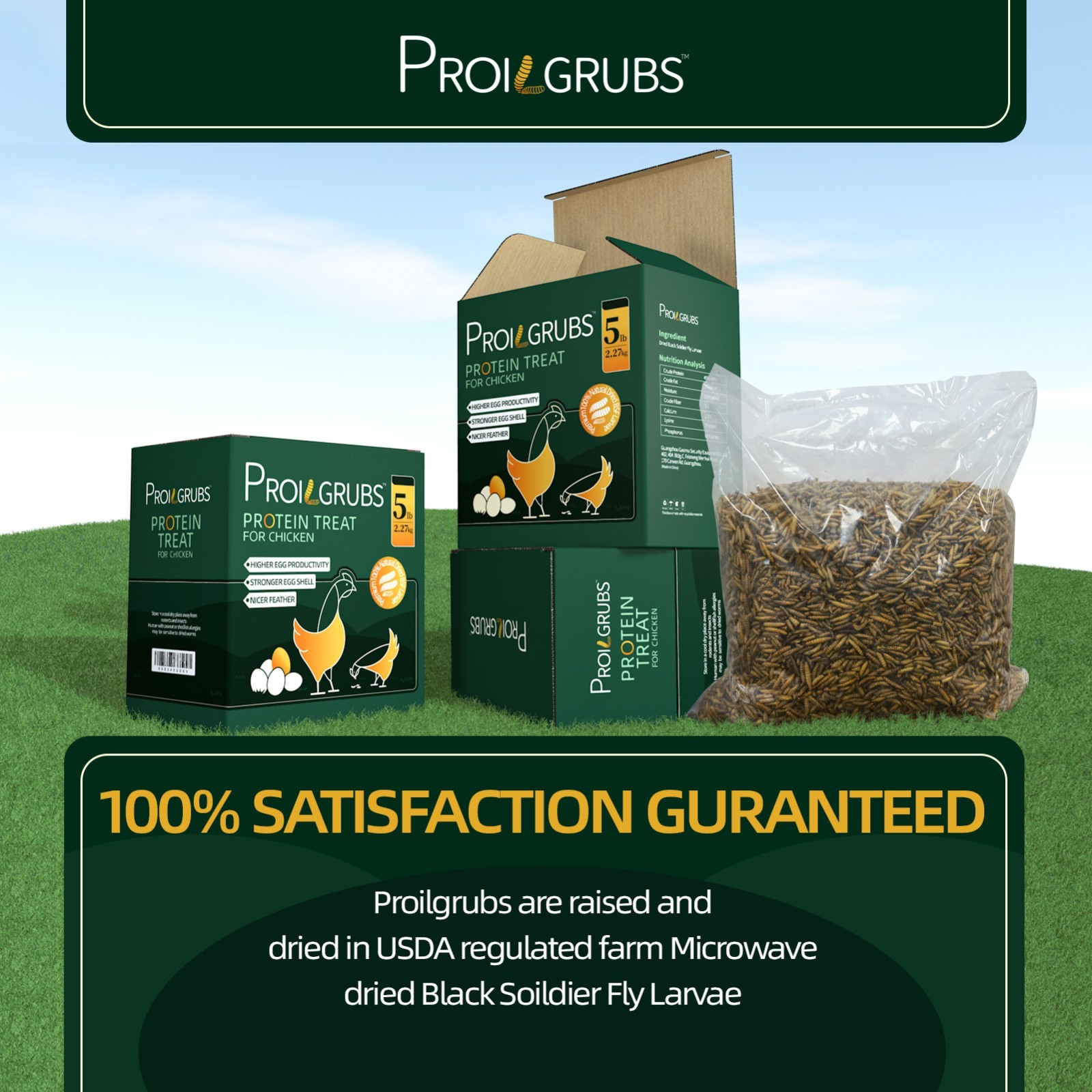 PROILGRUBS 10 LBS Non-GMO Dried Black Soldier Fly Larvae for Chickens,Birds