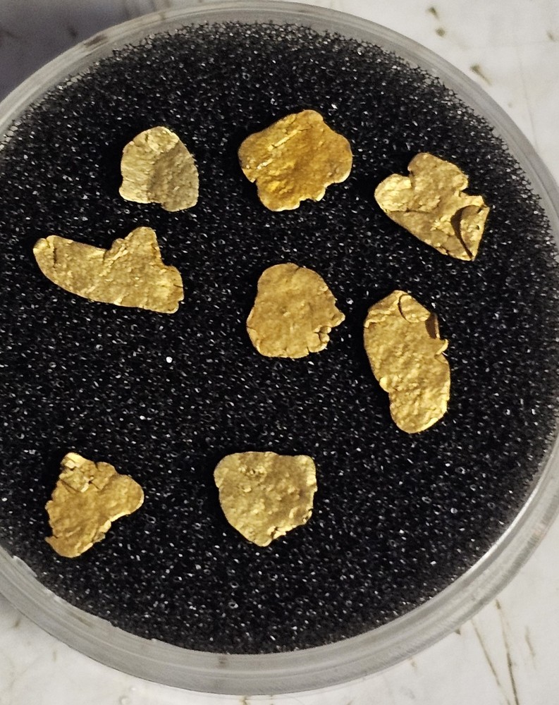 .384g Alaskan True Leaf Gold Nugget Batch