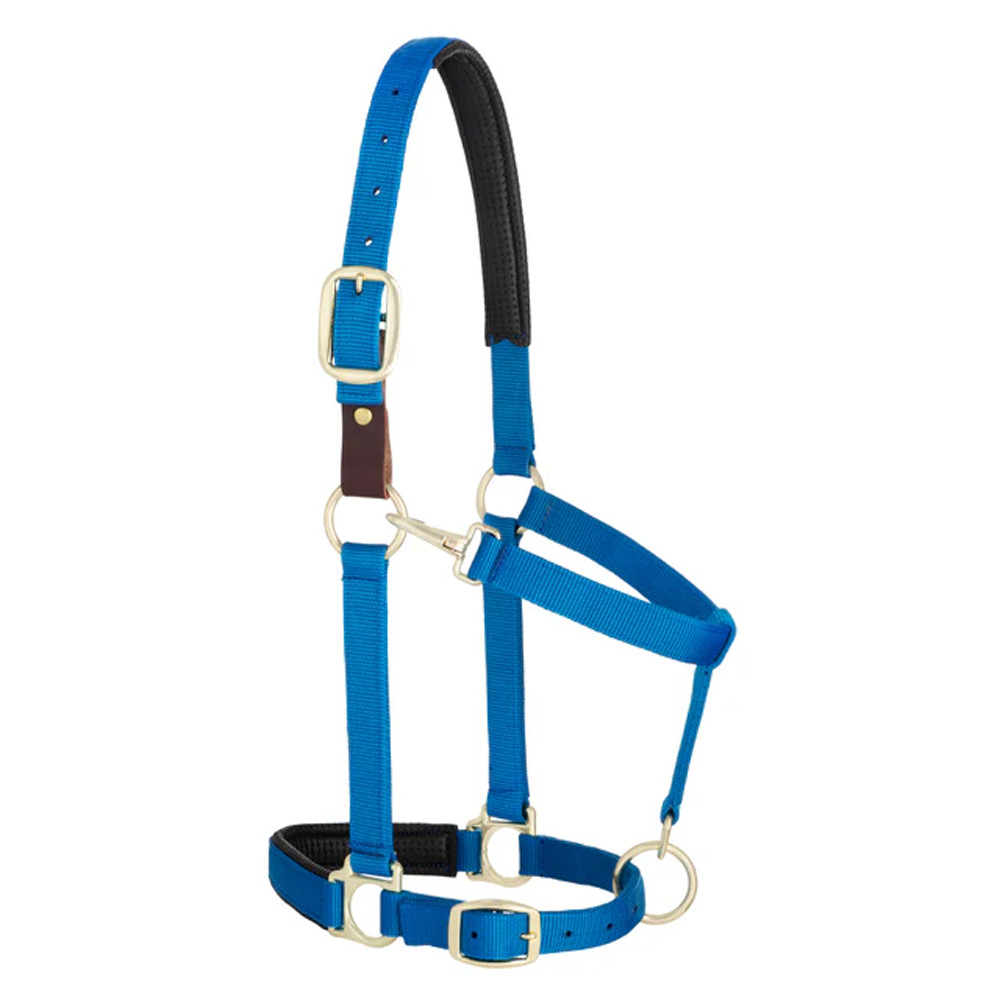 35-6075-BL Weaver Leather Padded Breakaway Adjustable Snap Halter - Solid Blue