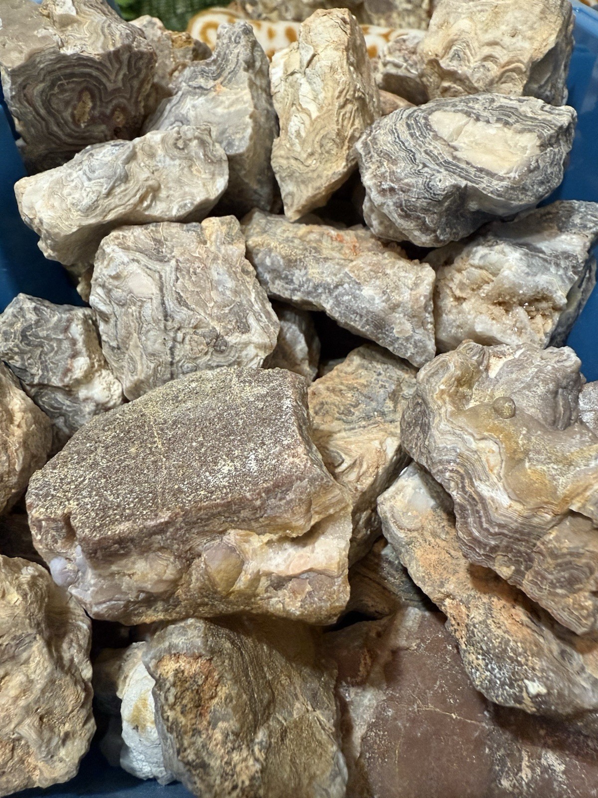 Crazy Lace Agate Rough, Lace Agate 5 lbs lot, Raw Summerville Lace Agates