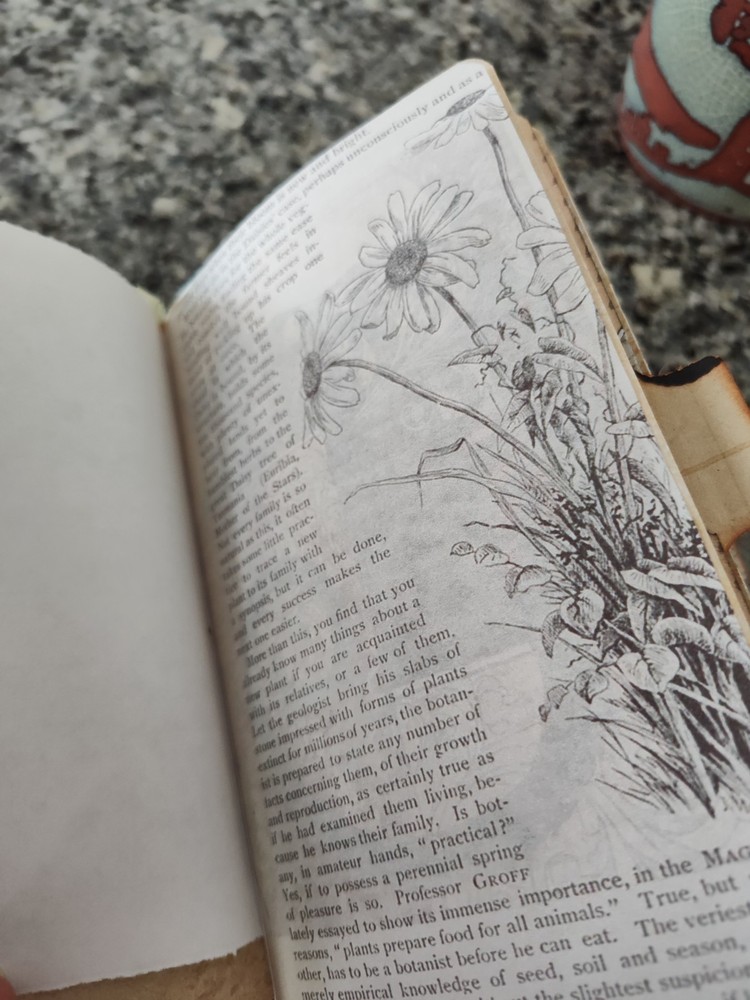 Handcrafted Vintage Journal, Planner, Diary, Sketchbook