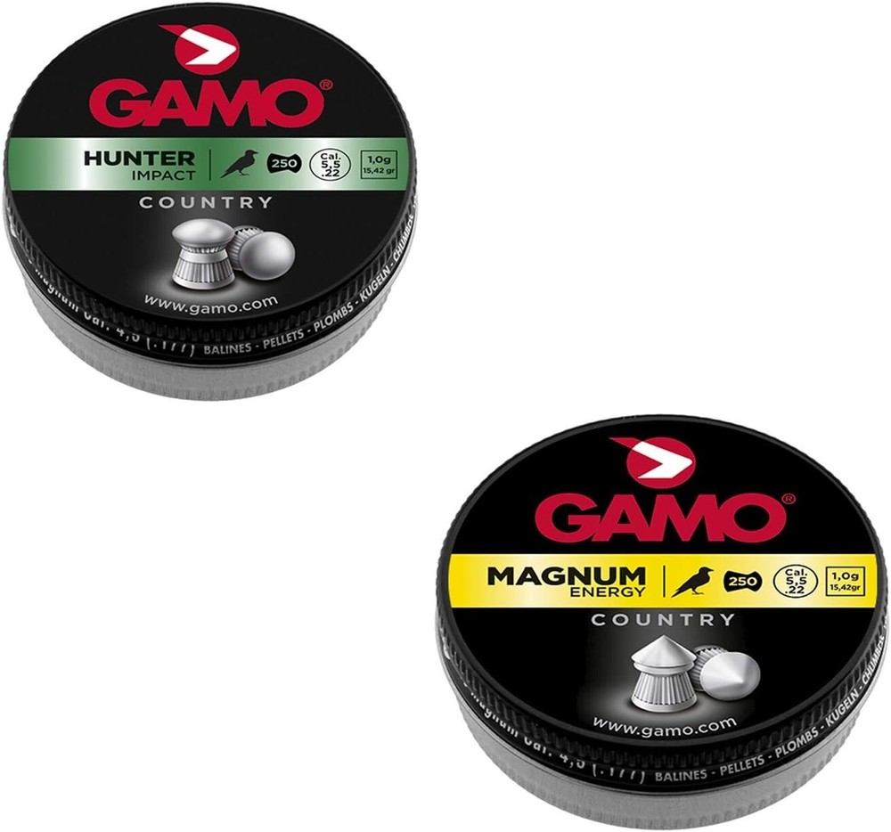 Premium Assorted .22 Caliber Pellets for Hunting and Target Shooting - 4 Types