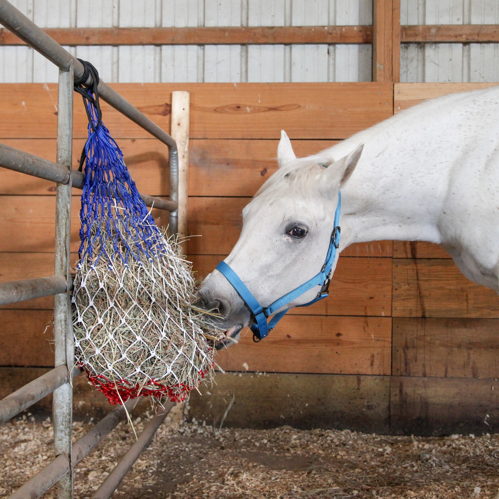 Majestic Ally 2 pcs Slow Feed 56” Hay Net with soft 3"x3" hole