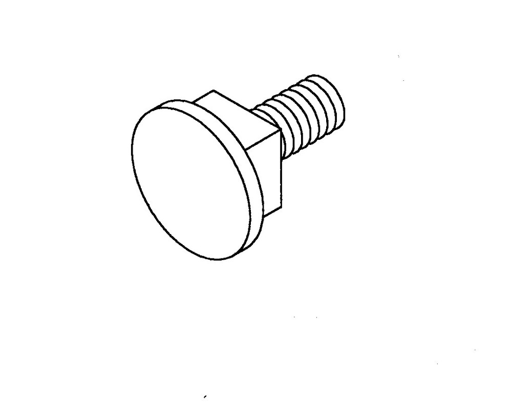 REMNANT HOLDER SCREW