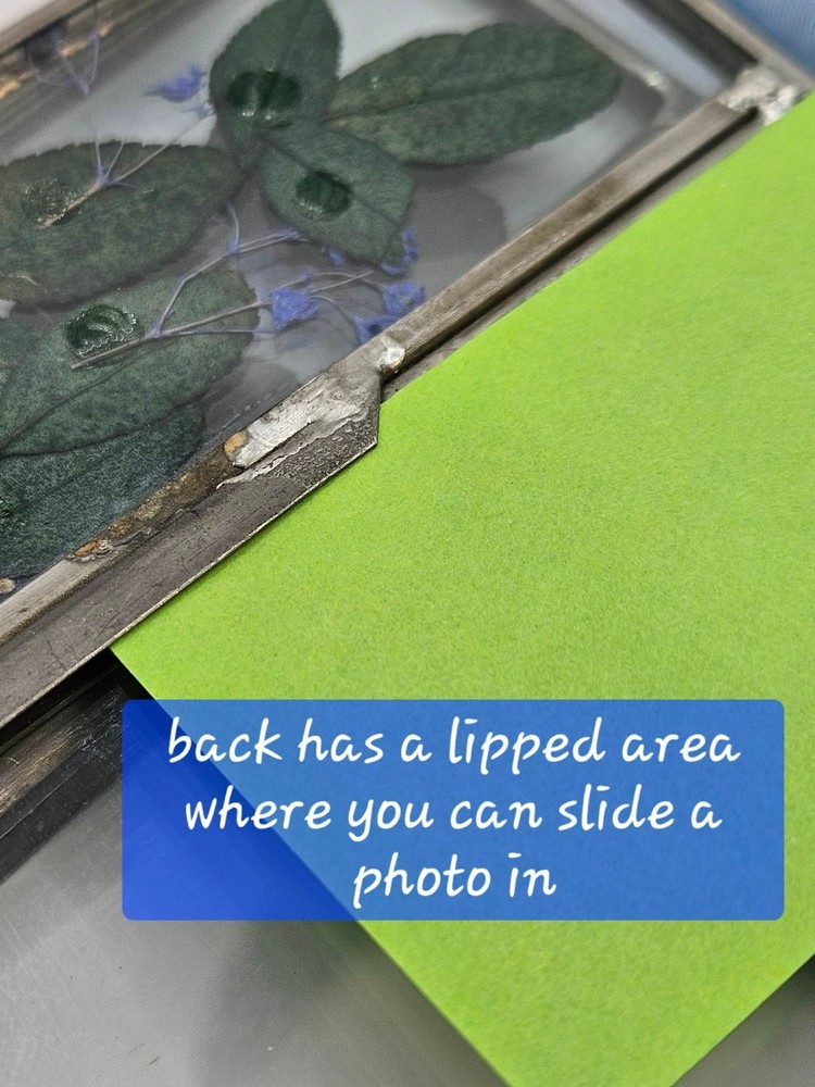 Pressed Flower wall hanging linked frames