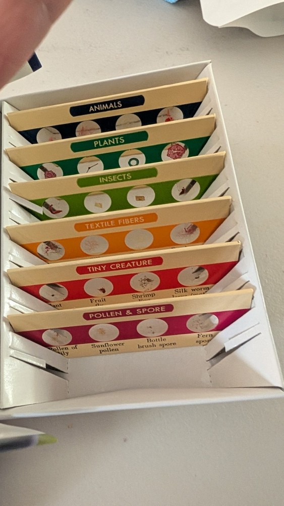 Microscope Slides 50 Blank Slides 31 Prepared Lot