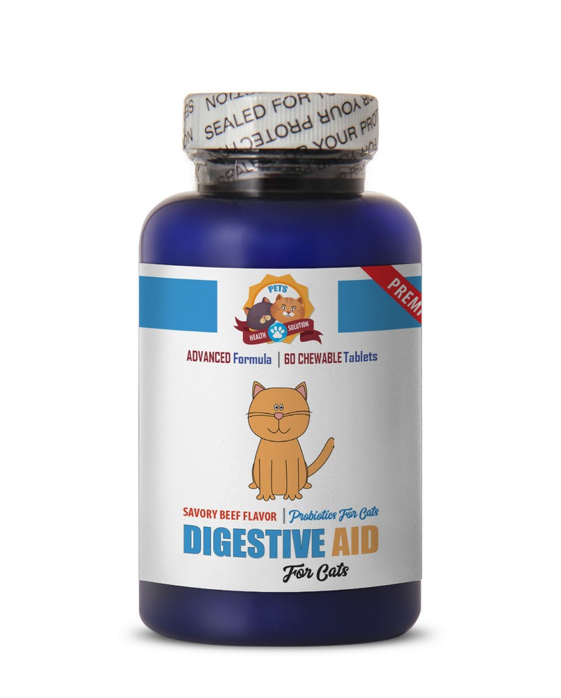 digestive enzymes for cats - CAT DIGESTIVE AID - cat digestive help 1Bot