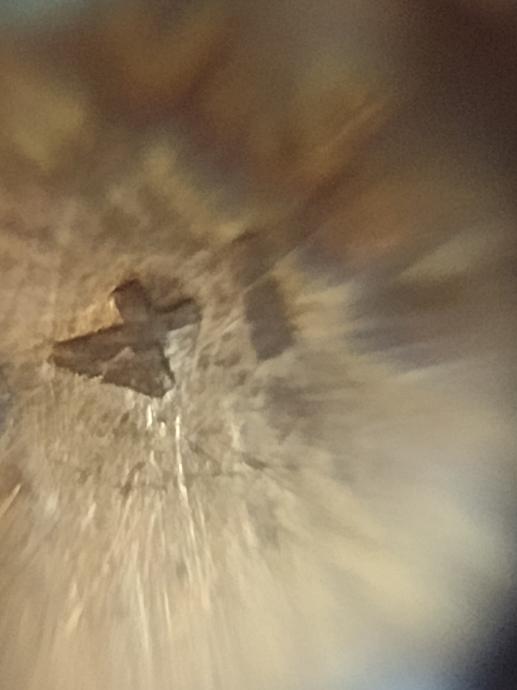 1939 Wheat Multi Error Has Liberty Backwards On Back And On Front Has Multiple