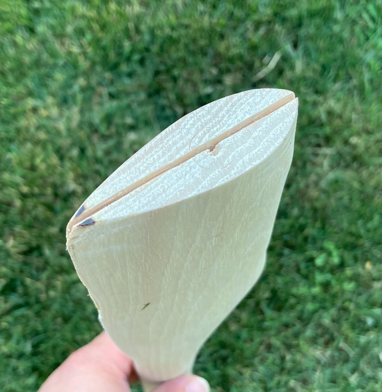 HICKORY 32" Single Bit Bent AXE HANDLE ~ UNFINISHED ~ Amish Made