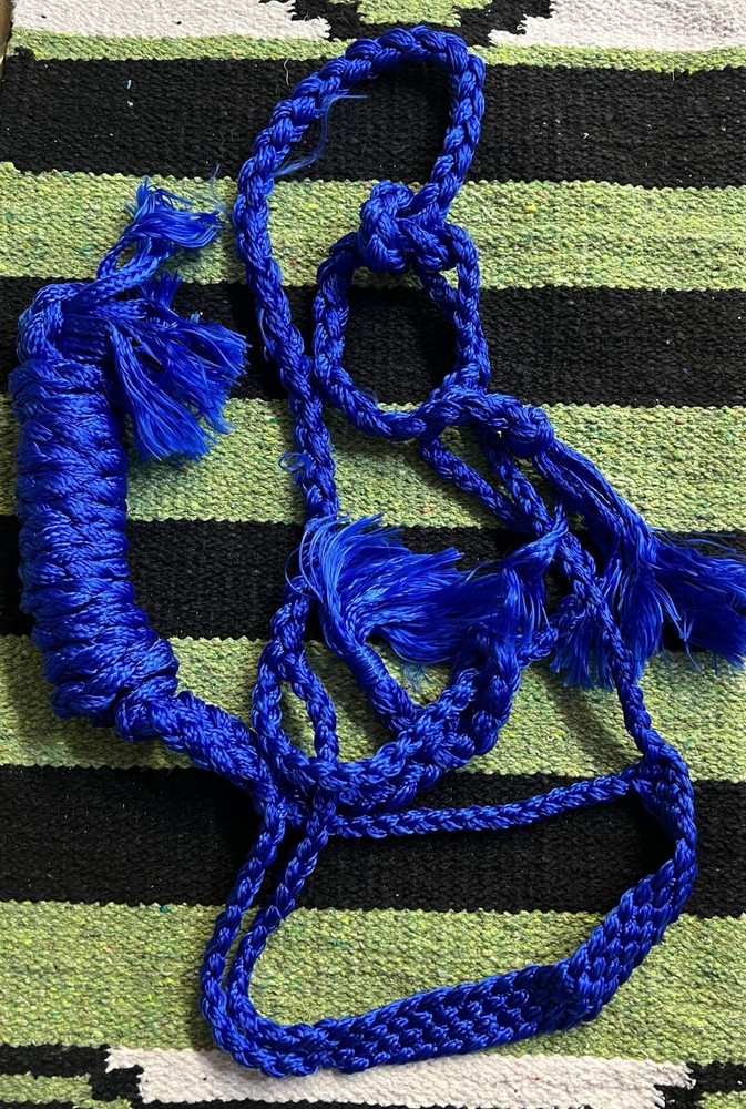 Blue Mule Tape Halter w/lead