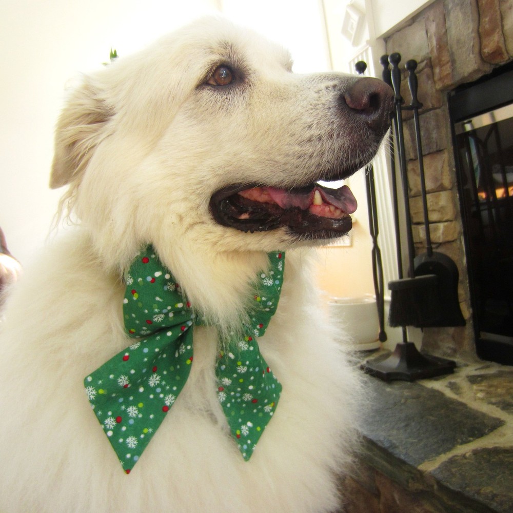 Snowflake Pet Bow Tie or Sailor Bow-4 Sizes Available