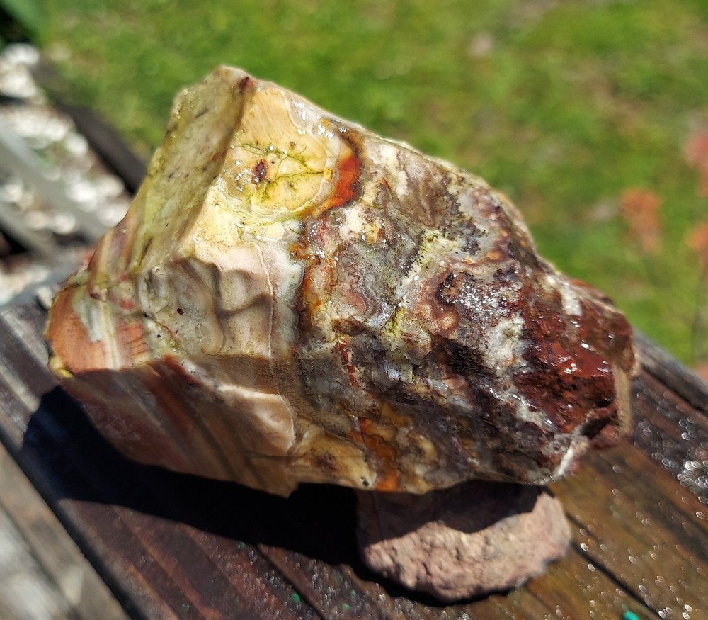Sarape Agate Rough